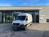 Mercedes Sprinter 316 2.1 cdi f 43/35 rwd h2 my20 diesel bianco