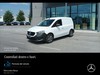 Mercedes Citan 110 cdi furgone long diesel bianco