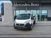 Fiat Ducato maxi 35 mlh1 2.3 mjt 130cv carro e6