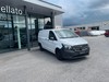 Mercedes Vito 114 cdi long fwd my20